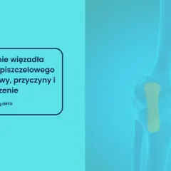 Anatomia kolana z zaznaczonym więzadłem pobocznym strzałkowym. Informacje o uszkodzeniu MCL, objawach, przyczynach i leczeniu.