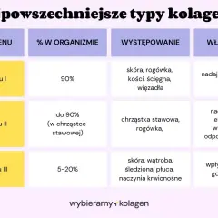 Tabela przedstawia najpowszechniejsze typy kolagenu: I, II i III, ich procentowy udział w organizmie, miejsca występowania oraz właściwości.