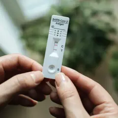 Dwie kreski na teście roosa wskazują na pozytywny wynik.