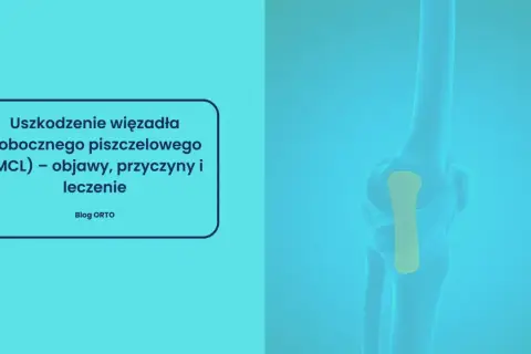 Anatomia kolana z zaznaczonym więzadłem pobocznym strzałkowym. Informacje o uszkodzeniu MCL, objawach, przyczynach i leczeniu.