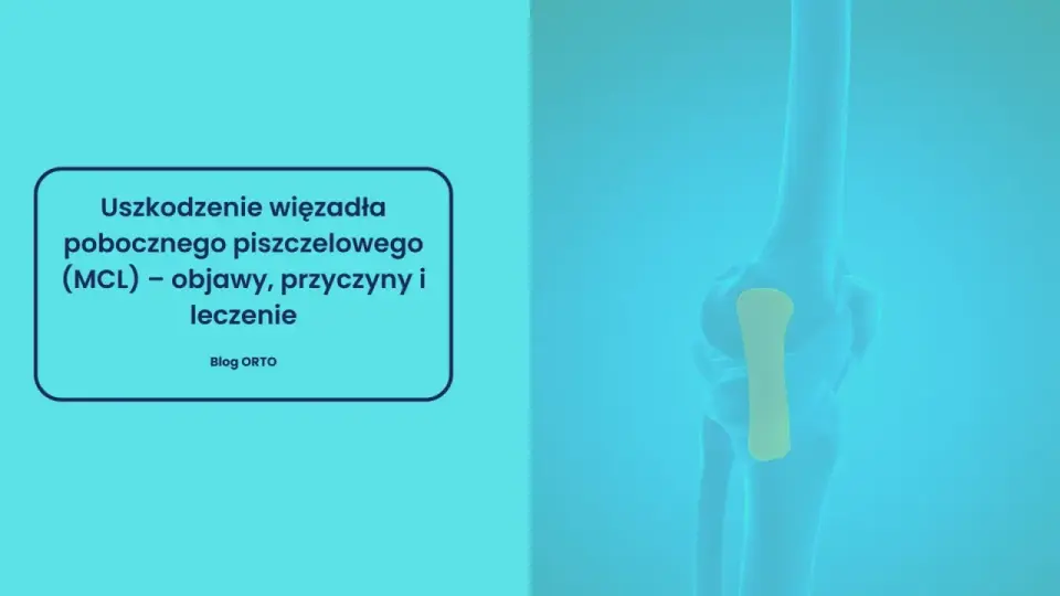 Więzadło poboczne strzałkowe - anatomia, urazy i rehabilitacja